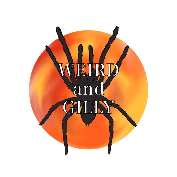 Meet your Posher, WEIRDandGILLY - Picture 1 of 1